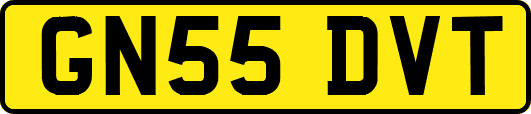 GN55DVT