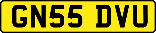 GN55DVU