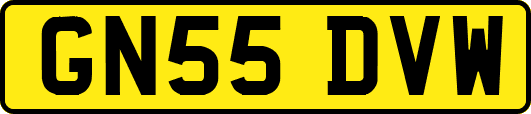 GN55DVW
