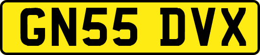 GN55DVX