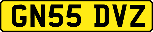 GN55DVZ