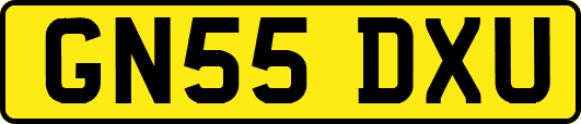 GN55DXU