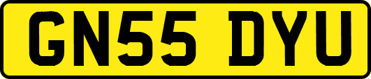 GN55DYU
