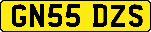 GN55DZS