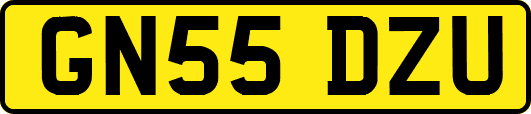 GN55DZU