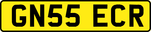 GN55ECR