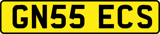 GN55ECS