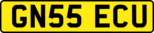 GN55ECU
