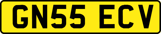 GN55ECV