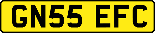 GN55EFC