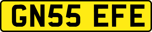 GN55EFE