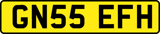 GN55EFH