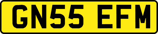 GN55EFM
