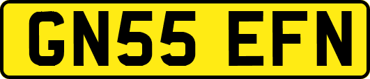 GN55EFN