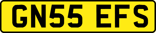 GN55EFS