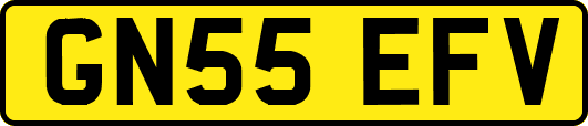 GN55EFV