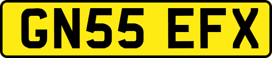 GN55EFX