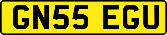 GN55EGU