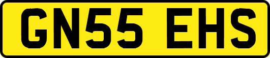 GN55EHS