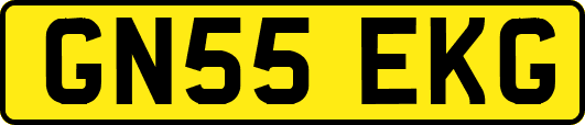 GN55EKG