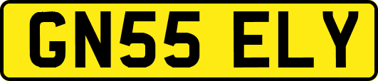 GN55ELY