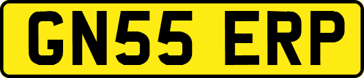 GN55ERP