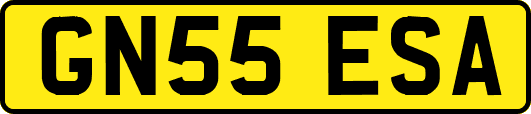 GN55ESA