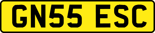 GN55ESC