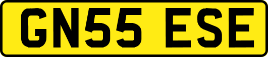 GN55ESE