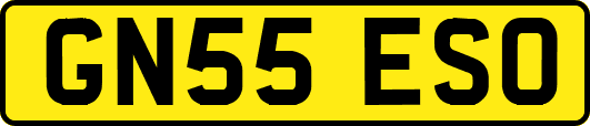 GN55ESO