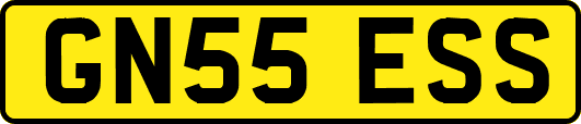 GN55ESS
