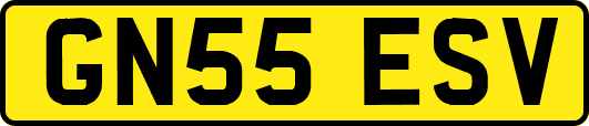 GN55ESV