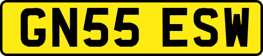 GN55ESW