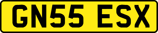 GN55ESX