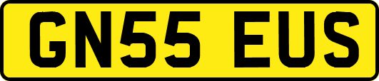 GN55EUS