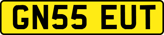 GN55EUT