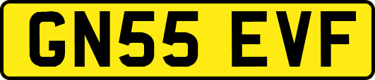 GN55EVF