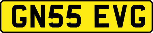 GN55EVG