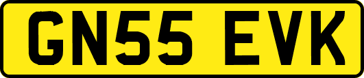 GN55EVK