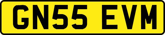 GN55EVM