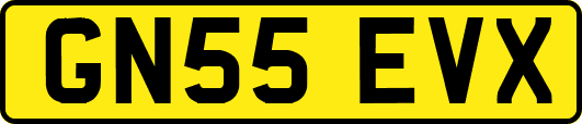 GN55EVX