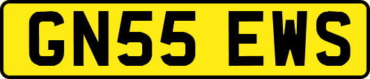 GN55EWS