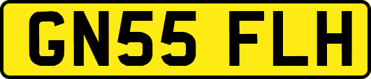 GN55FLH