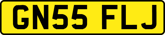 GN55FLJ