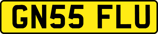 GN55FLU