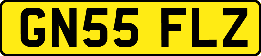 GN55FLZ