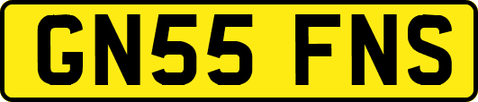 GN55FNS