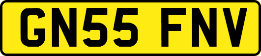 GN55FNV
