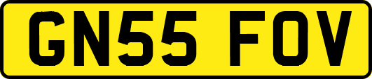 GN55FOV