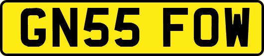 GN55FOW